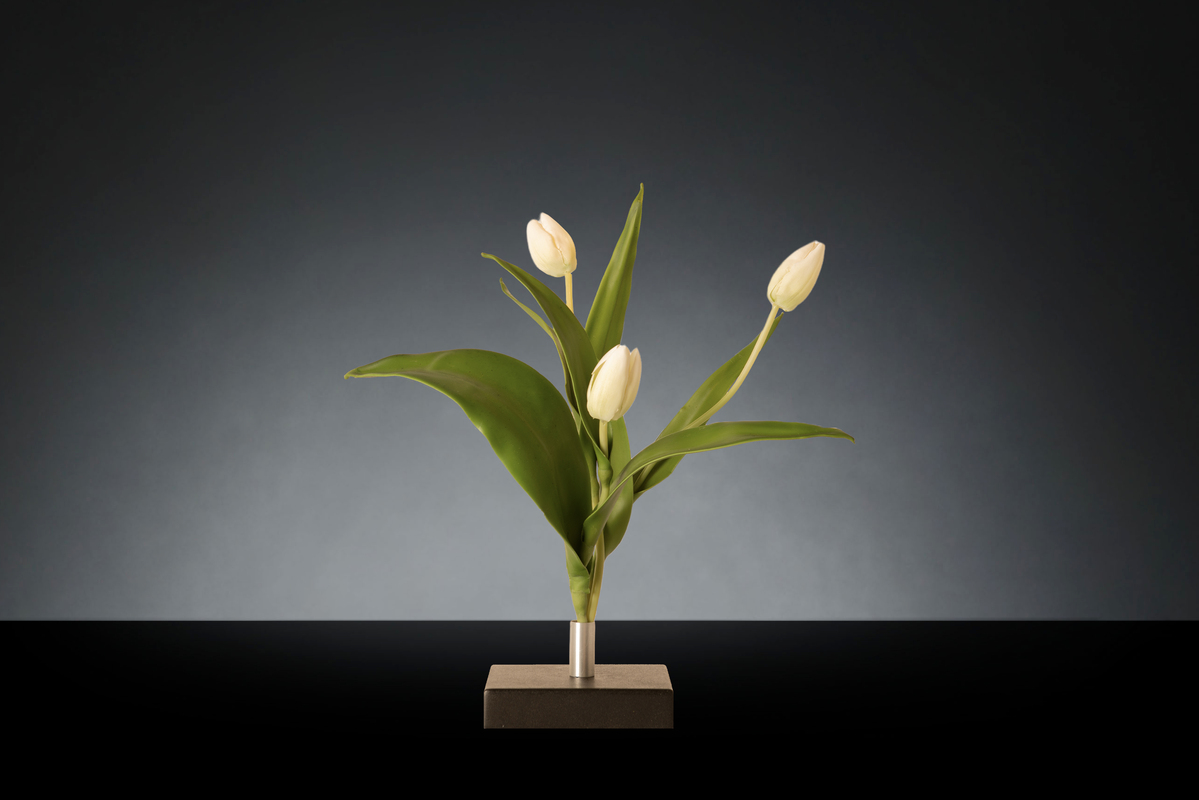 1700218796-1142903.96 SINGLE MINI TULIP_2LOW